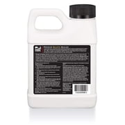 MORE Surface Care Premium Quartz Sealer, Pint (16 oz)