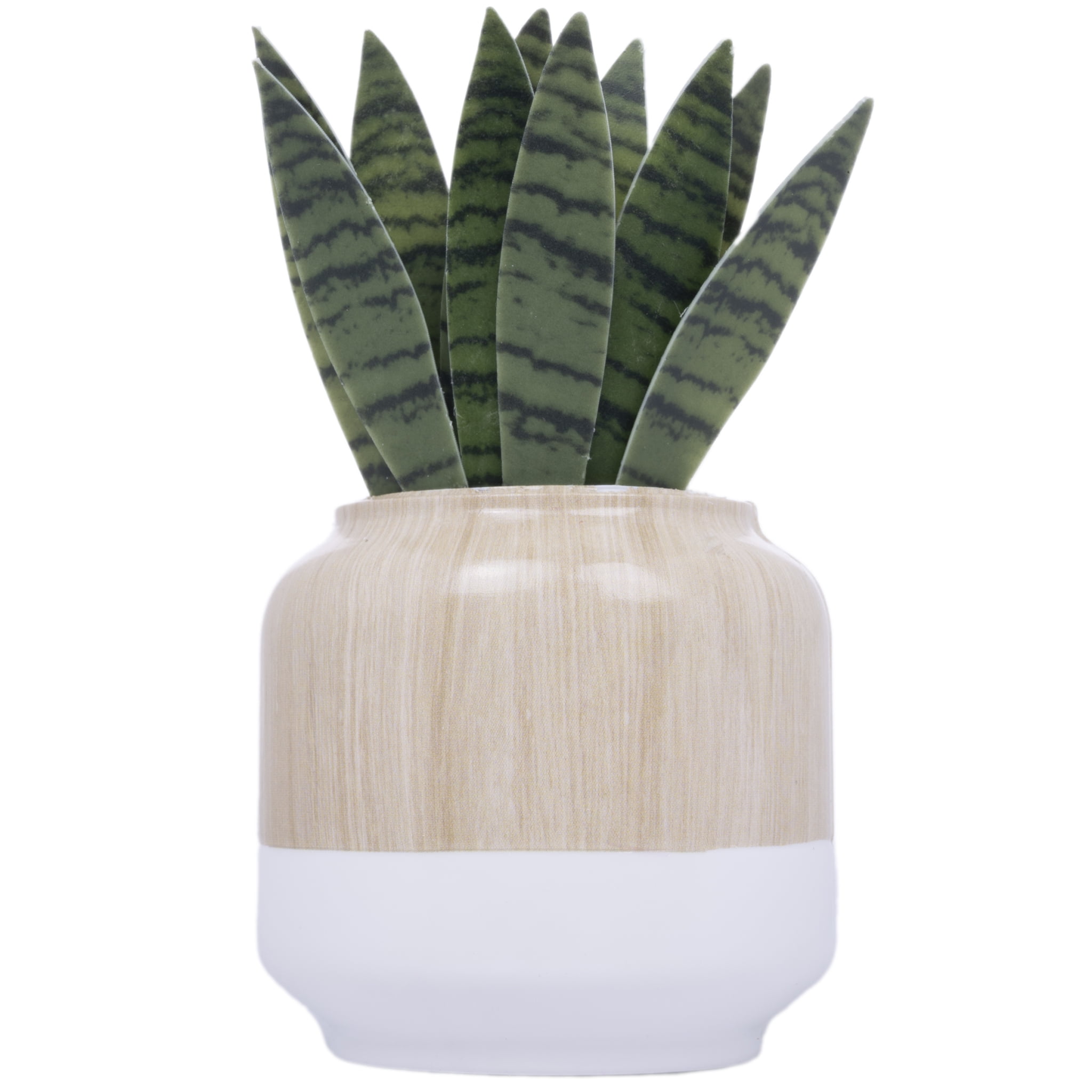(4 pack) Better Homes & Gardens Aroma Accents Fragrance Plug, Snake Plant