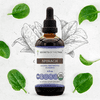 Secrets Of The Tribe Spinach Organic Dietary Supplement, Natural Herbal Tincture for Nutritional Support, Certified Organic Spinach Flakes (Spinacia oleracea) Dried Leaf, Alcohol-Free Extract, 4 oz