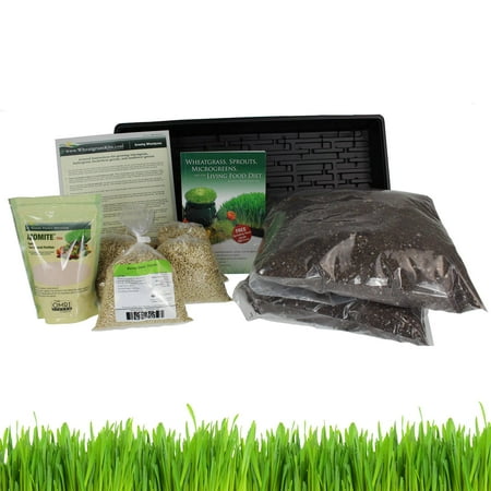 Barley Grass Growing Kit- Grow & Juice Barleygrass: Includes: Barley Seeds, Orgainc Soil Mix, Grow Trays, Azomite Fertilizer & (Best Soil For Growing Grass Seed)