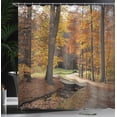 thumbnail image 4 of Ambesonne Autumn Shower Curtain, Gloomy Day Forest Path, 69"Wx70"L, Seal Brown Marigold, 4 of 5