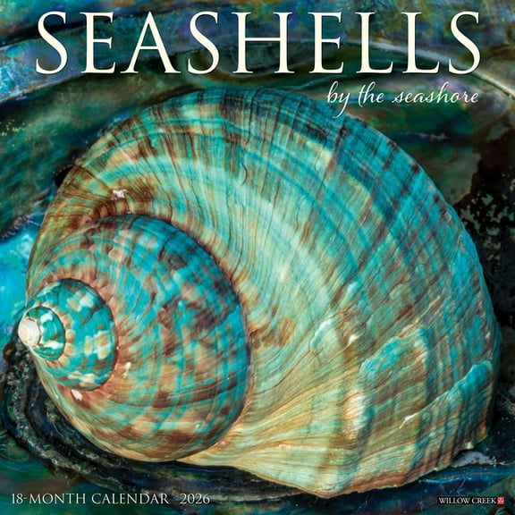 Seashells 2026 Wall Calendar, (Paperback)