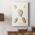 thumbnail image 5 of Pastel Knorr Shells VI Premium Gallery Wrapped Canvas - Ready to Hang, 5 of 9