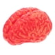 thumbnail image 1 of 1 pieza de juguete de Halloween, herramienta de broma, juguete de simulación, cerebro de sangre artificial para fiesta, festival, 1 of 8