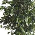 thumbnail image 4 of Nearly Natural 6 ft. Double Ball Ficus Silk Tree, 4 of 6