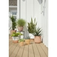 thumbnail image 3 of Better Homes & Gardens 12" x 12" x 13.4" Laurie White Resin Planter, 3 of 5