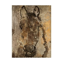 Trademark Fine Art 'Champagne Horse II' Canvas Art by Irena Orlov