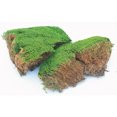 thumbnail image 1 of Supermoss Mousse d'Ambiance Préservée Verte Naturelle 1200 Cuin, 1 of 2