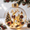 A1 Reindeer, variant on Glowing Christmas Diorama Ornament Light-Up Holiday Scene with Warm LED, Clear Acrylic Hanging Decor for Tree