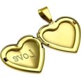 thumbnail image 3 of Gifts Infinity Stainless Steel Vine Love Heart Photo Fame Locket Pendant (VPP540), 3 of 3