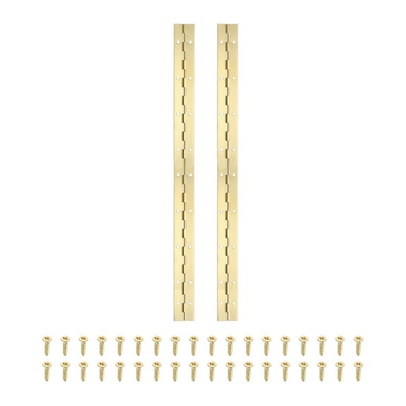 18x1.2 Inch Piano Hinge,2 Pcs Continuous Hinge with Holes for Piano Gate Door Wooden Storage Box Cabinet Boat,Gold