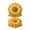 F #004, variant on Reusable Spring Garden Embossed Baking Pie Mold, Cookie Cutter Shapes with Floral Pattern Cookies Mold Fondant Cutters Plastic Cookies Molds for Baking Cute Biscuit Cutter