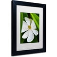 thumbnail image 2 of Trademark Fine Art "White Magnolia Flower" Canvas Art by Kurt Shaffer, White Matte, Black Frame, 2 of 4