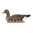 thumbnail image 5 of Avian X Topflight Specklebelly Goose Decoys with True to Life Postures, 12 Pack, 5 of 12