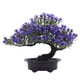 thumbnail image 5 of Advancent Plantas artificiales Bonsai Tree Faux Pine Plastic para Home Office Tabletop Garden Party Hotel Decoración Decoración Púrpura Púrpura 2piezas, 5 of 6
