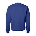 thumbnail image 3 of Hanes Ecosmart Crewneck Sweatshirt Unisex Size up to 5XL, 3 of 4
