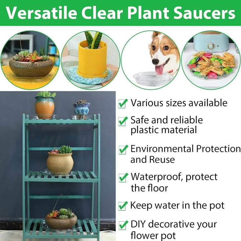 20 Pack 6 Inches Clear Plastic Plant Saucer Drip Trays Small Plant Plate Dish for Indoor Flower Pots and Planters in Bulk 20 Pack 6 Inches Clear Plastic Plant Saucer Drip Trays Small Plant Plate Dish for Indoor Flower Pots and Planters in Bulk