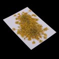 thumbnail image 4 of 6pcs flor secada prensada flor de zanahoria real para velas artesanales Amarillo Sunnimix Flores secadas prensadas naturales, 4 of 8