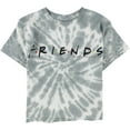 thumbnail image 5 of Junk Food Womens Friends Logo Crop Graphic T-Shirt, Green, Medium, 5 of 6
