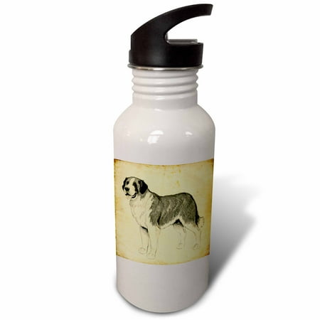 

St. Bernard Dog Against A Vintage Background 21 oz Sports Water Bottle wb-58200-1