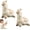 2PC, variant on Alpaca Interactive Water Sprayer - Push Water Sprinkler for Kids (1PC)