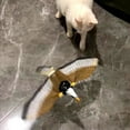 thumbnail image 6 of Cat Lover Interactive Bird Simulation Cat Toy Set Interactive Cat Toys for Indoor Cats Cat Feather Toy Feathers & Bells, Realistic Bird Impression, 6 of 8