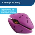 thumbnail image 3 of Dispensador de juguetes para perros PetSafe Busy Buddy Twist 'n Treat pequeño, 3 of 6