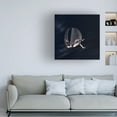 thumbnail image 4 of Trademark Fine Art Axel K. Schoeps Abeyance Canvas Wall Art, 4 of 4