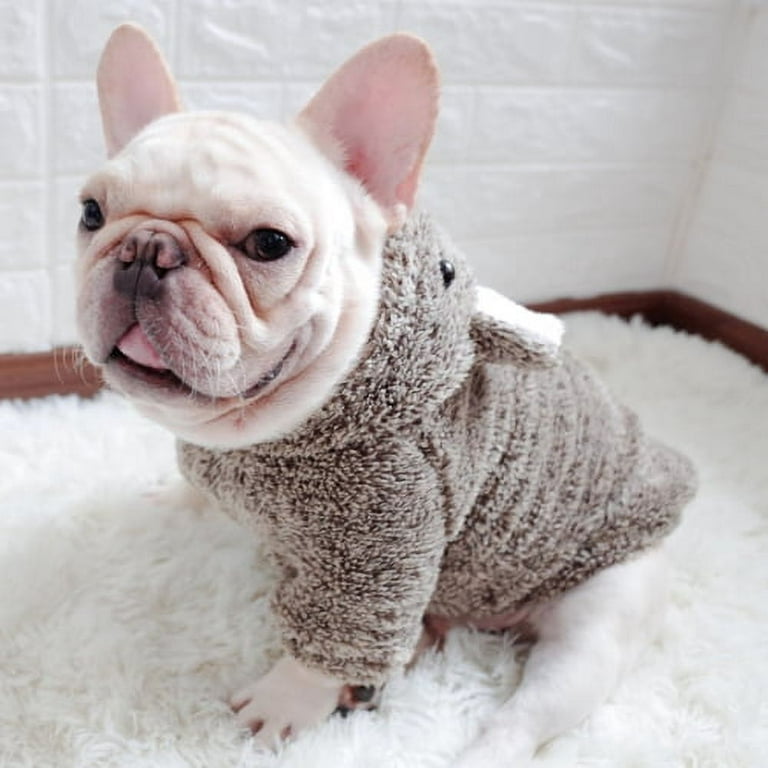 Design Fashion Dog Clothes Winter Pet Knitwear French Bulldog