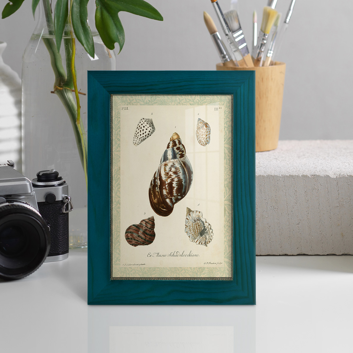 Bookplate Shells VII - Framed Print w/glass - Ocean Blue