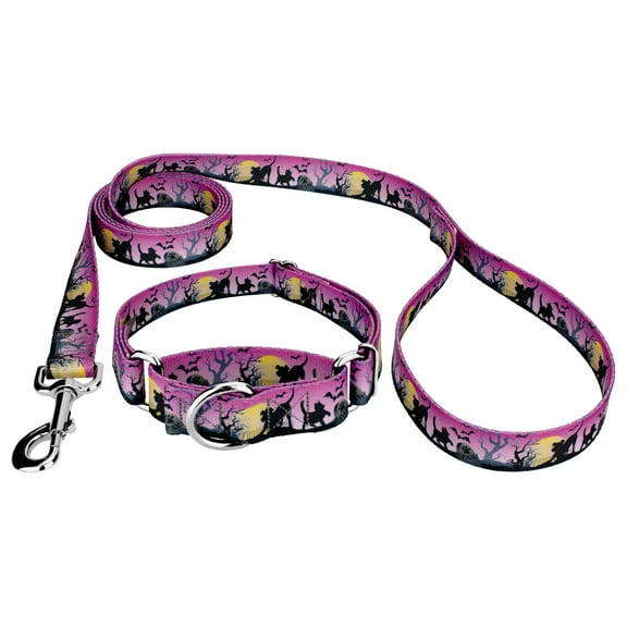 Country Brook Petz® Graveyard Martingale Dog Collar and Leash, 2XS