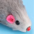 thumbnail image 3 of 12pcs Pet Cat Toy Small Plush Mouse Mini Funny Cat Toy Fake Mouse For Kitten Cat, 3 of 5