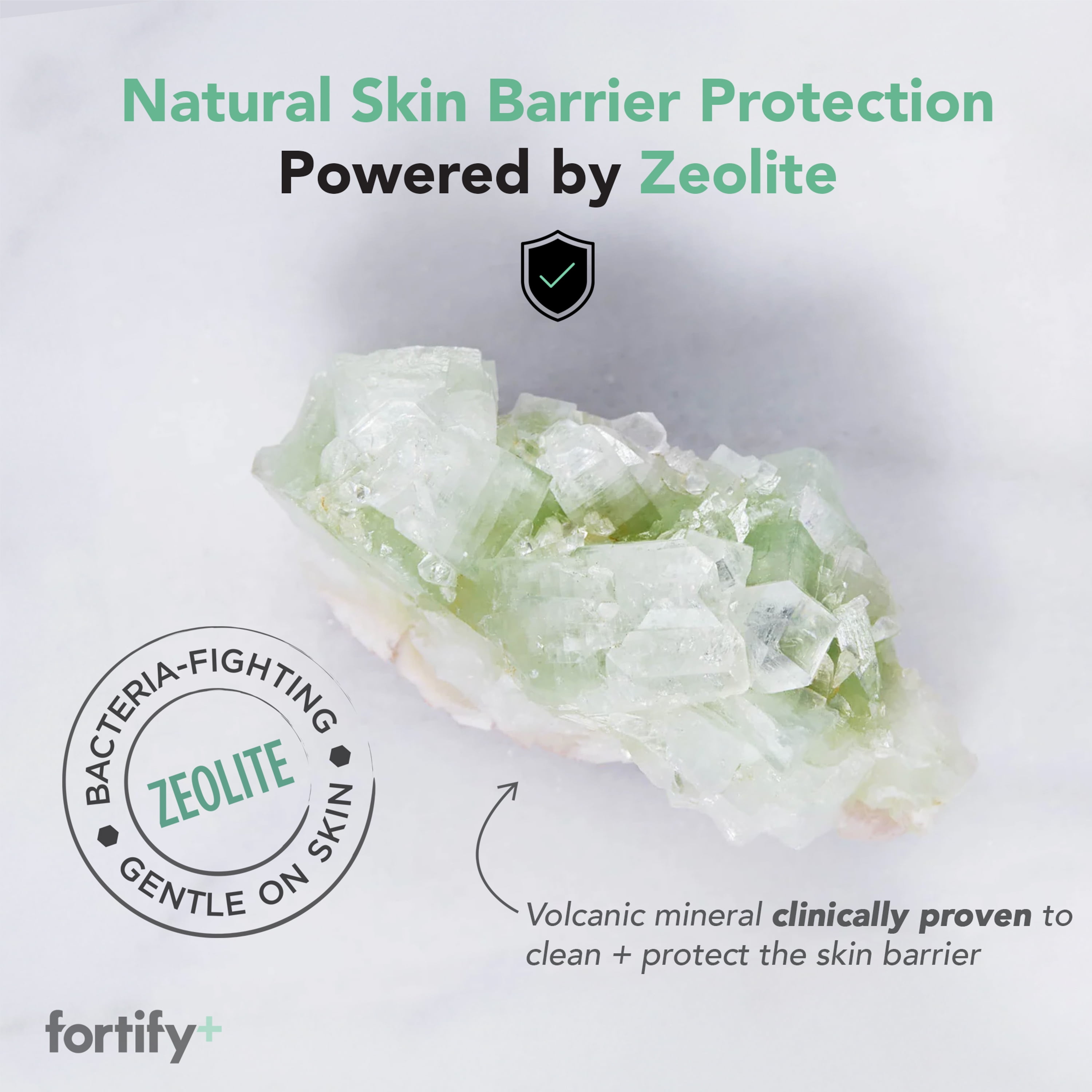 Fortify Facial Toner Mist, Setting Spray, 4.39 fl oz