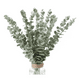 thumbnail image 1 of 40 Piezas Tallos De Eucalipto Decoración Hojas Artificiales, 1 of 5