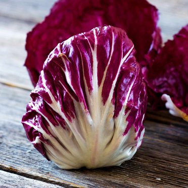 Radicchio Garden Seeds - Palla Rosa Variety - 1 oz - Heirloom Vegetable Gardening Seed - Grow Non-GMO Vegetables and Salad Greens