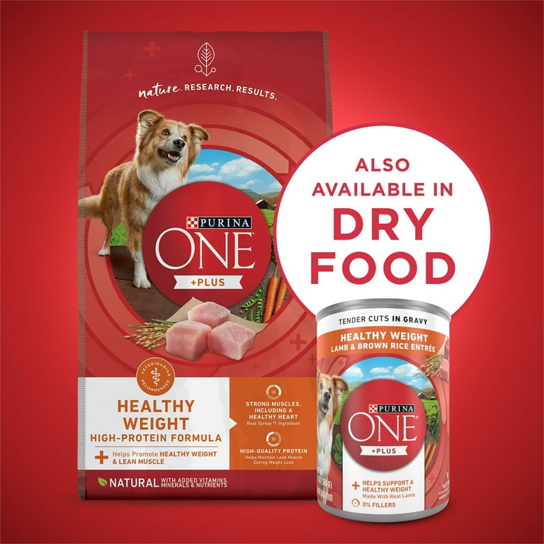 Purina One Plus Lamb and Brown Rice Wet Dog Food 13 oz Cans 12