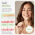 thumbnail image 4 of Cepillo de dientes VIVAGO de bambú, pack de 10, cerdas suaves de origen vegetal, 4 of 7