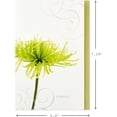 thumbnail image 2 of Assorted Sympathy Cards (Flowers, 12 Cards and Envelopes), 2 of 3