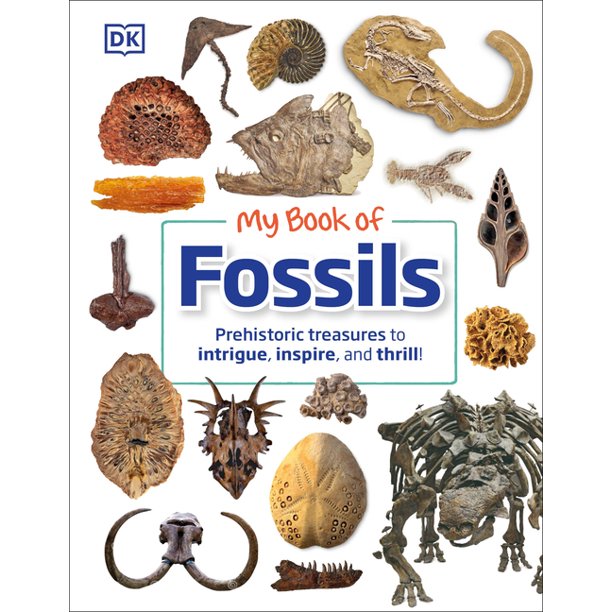 My Book of Fossils Prehistoric Treasures to Intrigue, Inspire, and