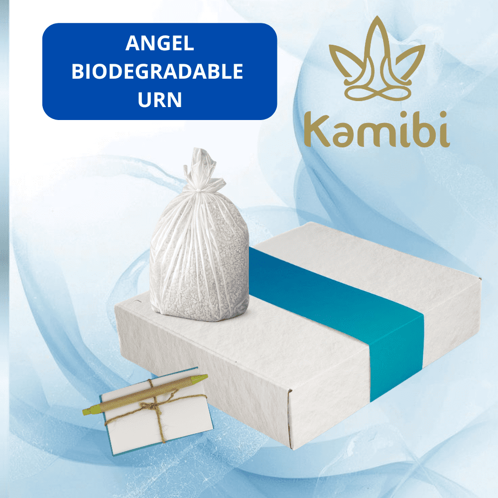 Biodegradable Urn for Human Ashes, Eco-Friendly Urn for Water or Earth Burial, Includes Water Soluble Ash Bag, Adult Size 3" H x 12" W x 14" L. (ANGEL DEEP BLUE)