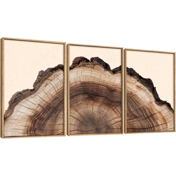 FCCUYE Farmhouse Botanical Wall Art Set of 3, Framed Fern Leaf Prints for Home Decor, Living Room Bedroom, Rustic Black Tan Minimalist Plant Painting, 16x24 Inch