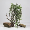 thumbnail image 3 of Gwong Decoración hogareña 1pc Fácil de mantener Vides Artificiales Anti-Fall Plastic Hermosa Garland Simulación Vines Decoración del hogar Gwong 21080756, 3 of 6
