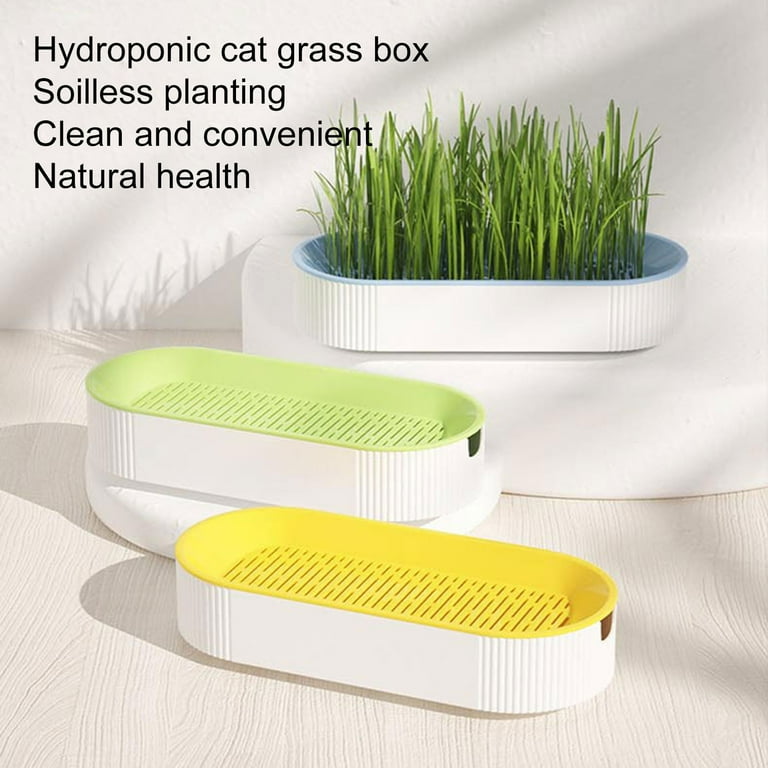 Grass planter shop box for dogs
