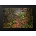 thumbnail image 2 of Oldford, Tim 14x11 Black Modern Framed Museum Art Print Titled - Forest Stroll, 2 of 5