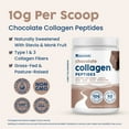 thumbnail image 4 of NativePath Chocolate Collagen Peptides Powder, Grass-Fed Type 1 and 3, Keto, 20 Servings, 4 of 8