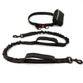 thumbnail image 1 of Training Dog Leash - Training Dog to Walk on a Leash, 1 of 10