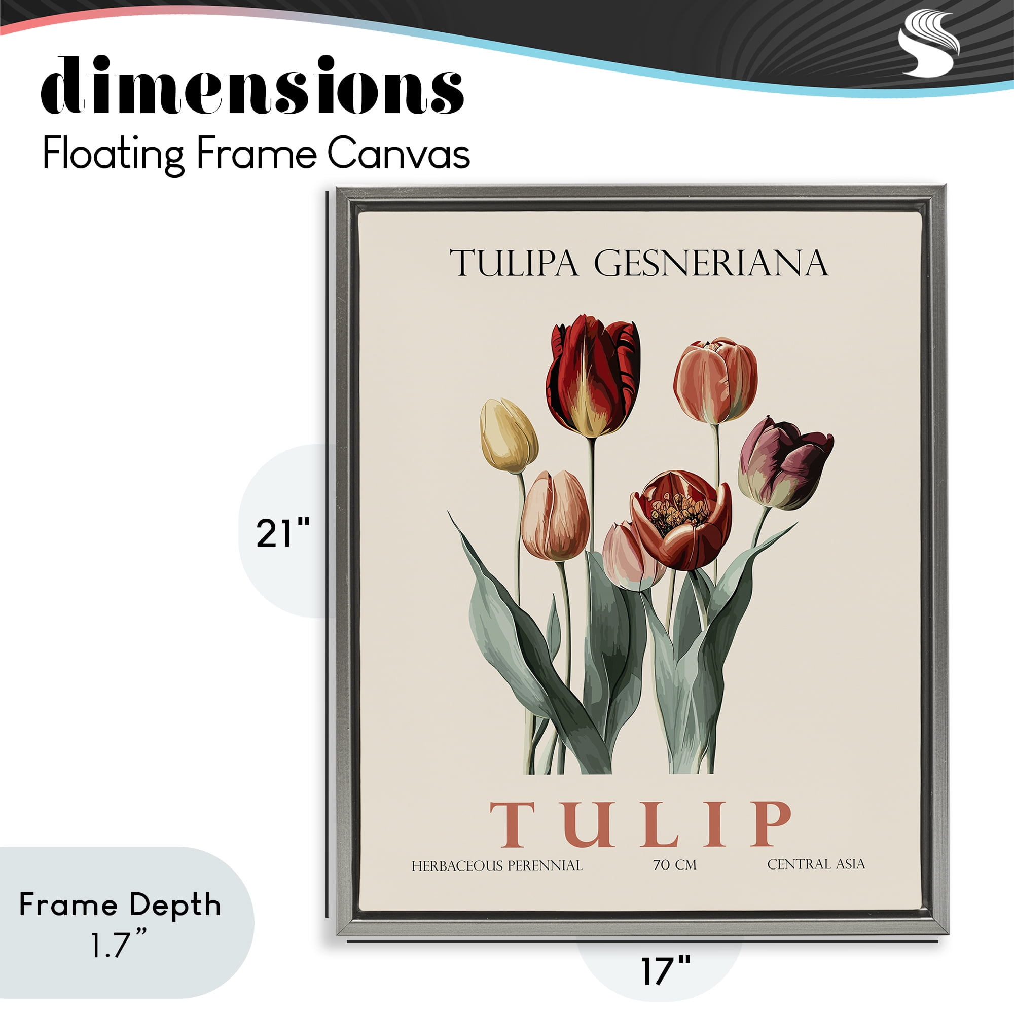 Stupell Industries Natural Tulip Bundle Gray Framed Floater Canvas Wall Art, design by Christopher Giampietro