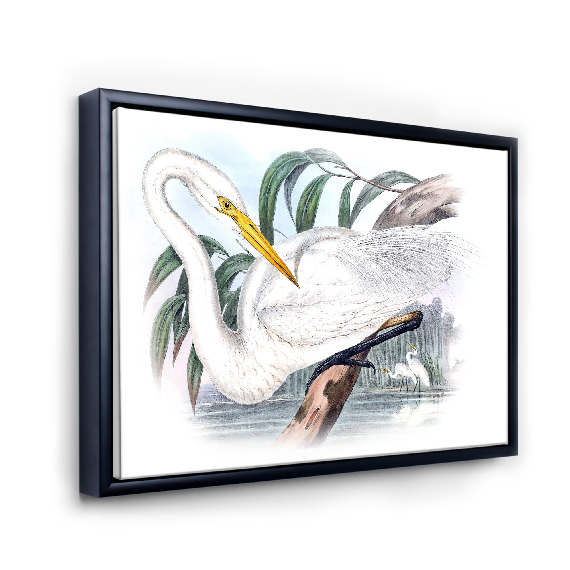 Designart 'Ancient Australian Birds IV' Traditional Framed Canvas Wall Art Print