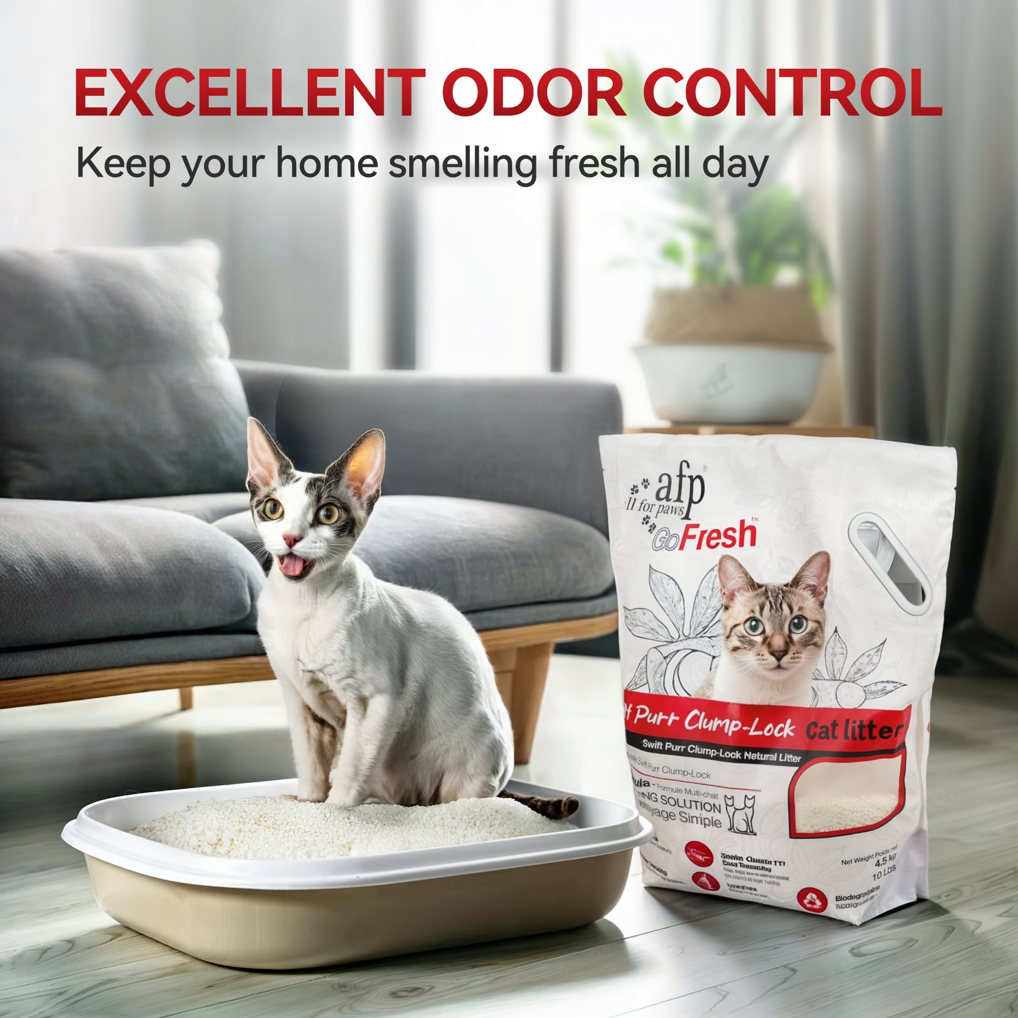 All For Paws Natural Cassava Grain Cat Litter, 10lb – Superior Clumping | Eco-Friendly | Low Dust | 24/7 Odor Control Cassava Kitty Litter, Unscented