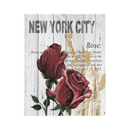 - New York Roses Print Wall Art By Alicia Soave